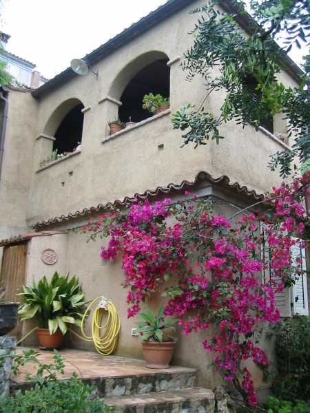 Cersuta di Maratea